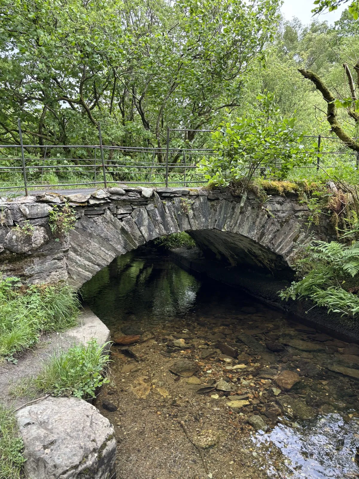 Arched stone bridge crossing over a clear shallow stream surrounded by trees.
