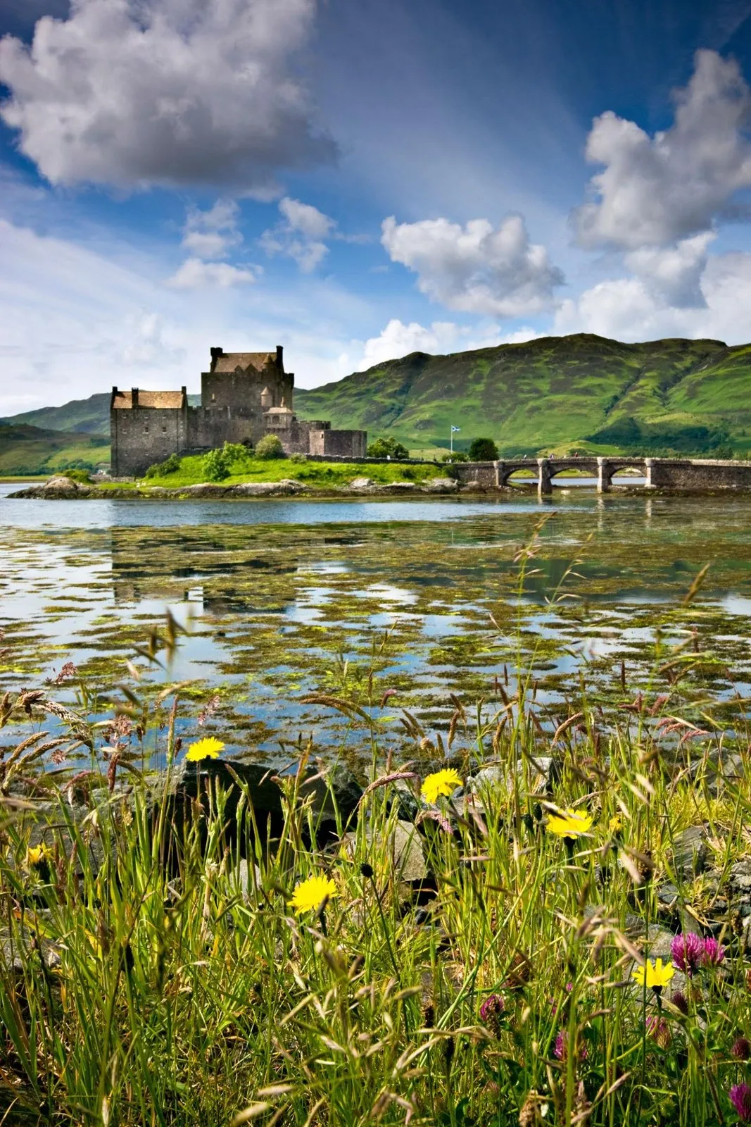 Wildflowers in the foreground looking toward Eilean Donan Castle and green mountain hills.